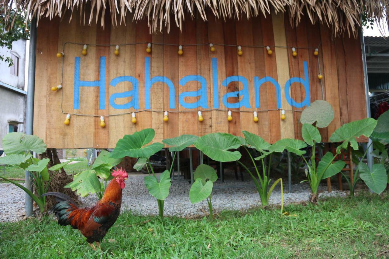 Hahaland Hotel Phong Nha Exterior foto